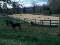 Club Equestre du Mont-Gargan